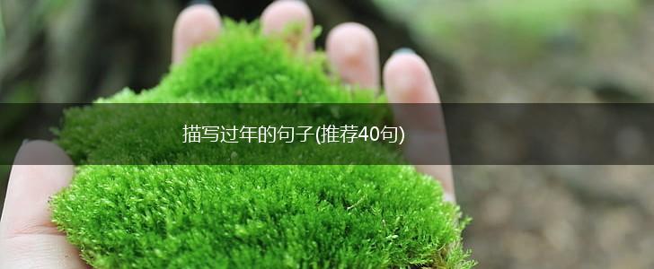 描写过年的句子(推荐40句),第1张