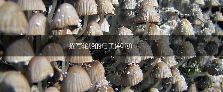 描写轮船的句子(40句),第1张