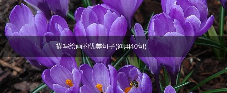 描写绘画的优美句子(通用40句),第1张