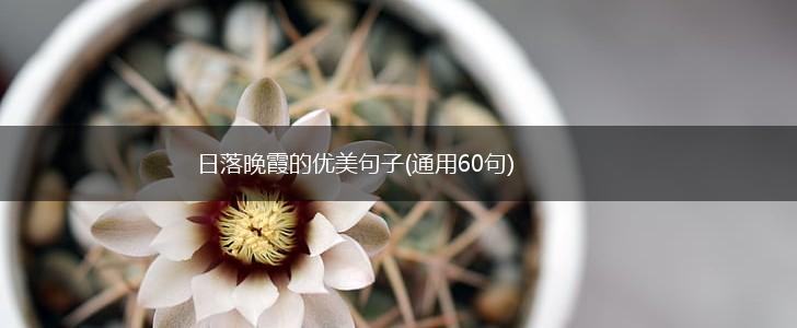日落晚霞的优美句子(通用60句),第1张