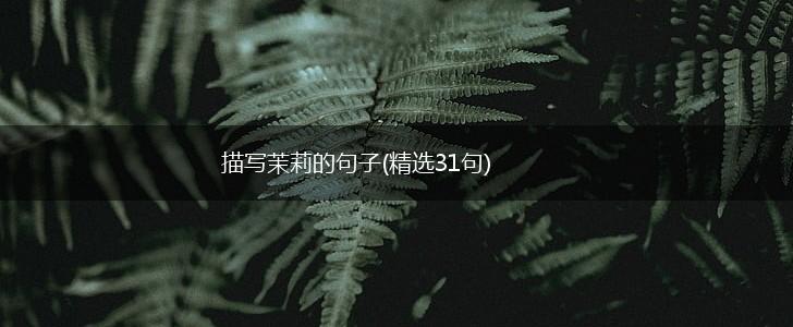 描写茉莉的句子(精选31句),第1张