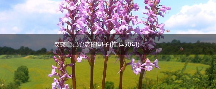 改变自己心态的句子(推荐50句),第1张