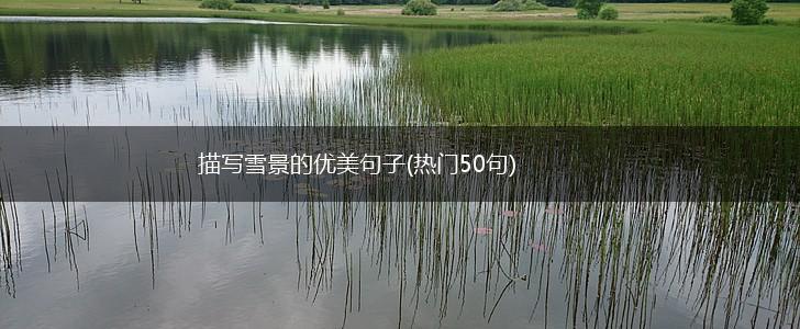 描写雪景的优美句子(热门50句),第1张