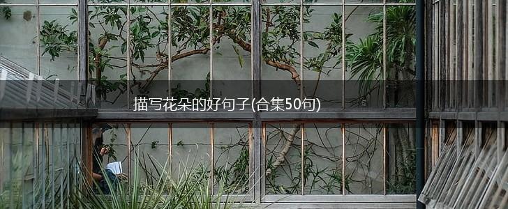 描写花朵的好句子(合集50句),第1张
