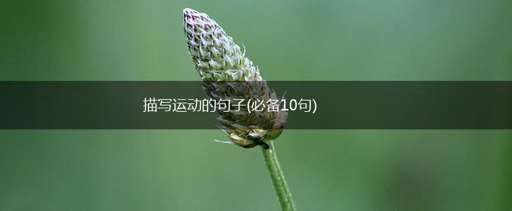 描写运动的句子(必备10句),第1张