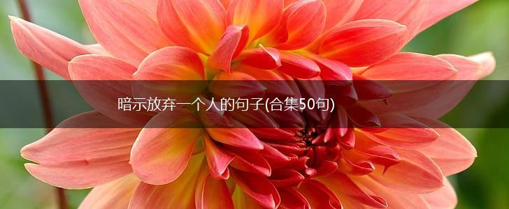 暗示放弃一个人的句子(合集50句),第1张