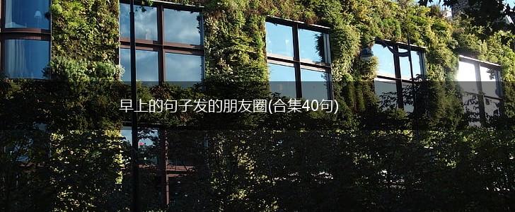早上的句子发的朋友圈(合集40句),第1张