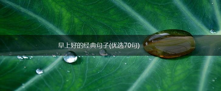 早上好的经典句子(优选70句),第1张