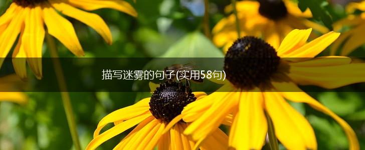 描写迷雾的句子(实用58句),第1张