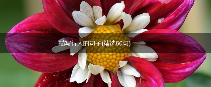 描写行人的句子(精选60句),第1张
