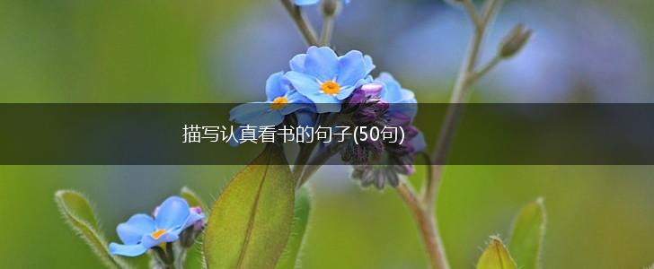 描写认真看书的句子(50句),第1张