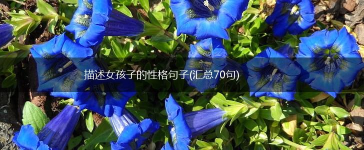 描述女孩子的性格句子(汇总70句),第1张