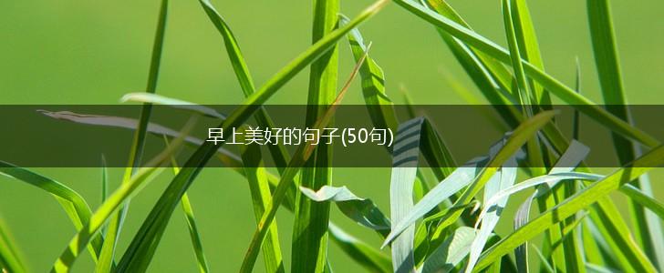 早上美好的句子(50句),第1张