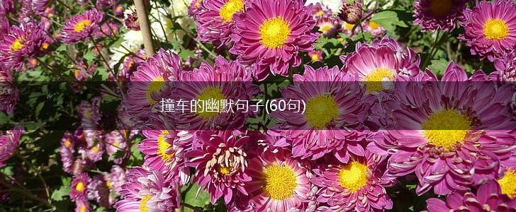 撞车的幽默句子(60句),第1张