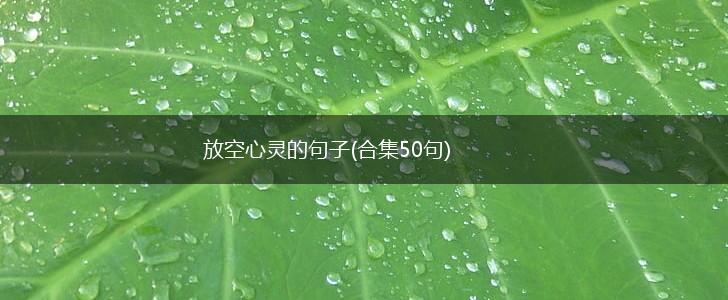 放空心灵的句子(合集50句),第1张
