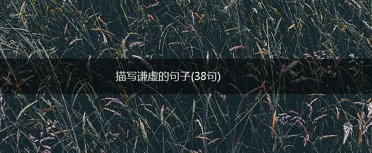 描写谦虚的句子(38句),第1张