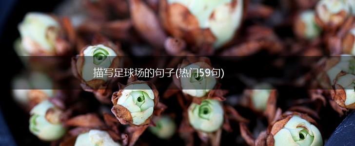 描写足球场的句子(热门59句),第1张