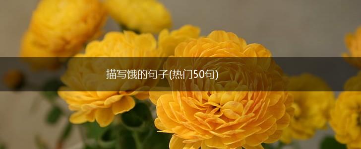 描写饿的句子(热门50句),第1张