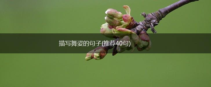 描写舞姿的句子(推荐40句),第1张