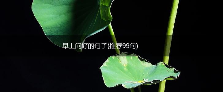 早上问好的句子(推荐99句),第1张