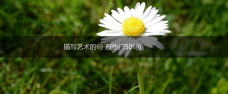 描写艺术的句子(热门50句),第1张