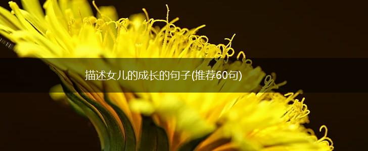 描述女儿的成长的句子(推荐60句),第1张