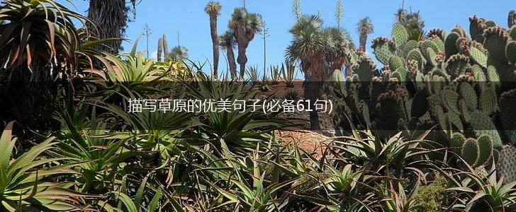描写草原的优美句子(必备61句),第1张