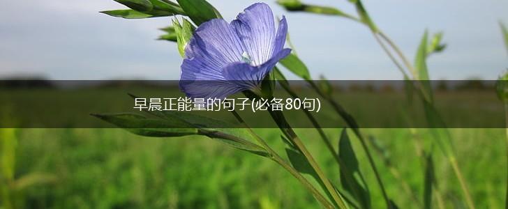 早晨正能量的句子(必备80句),第1张