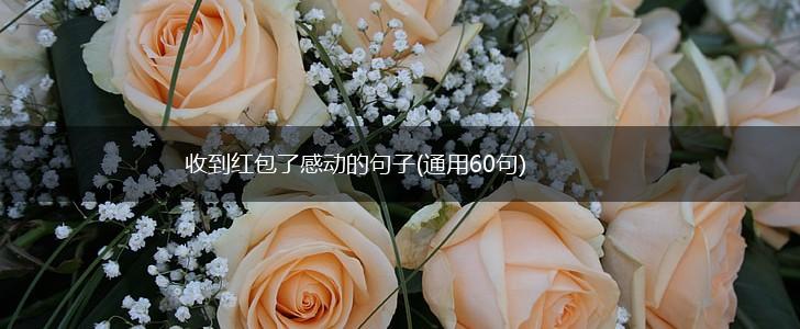 收到红包了感动的句子(通用60句),第1张