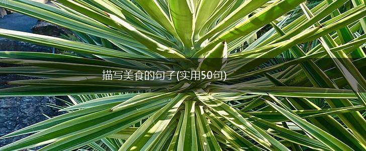 描写美食的句子(实用50句),第1张
