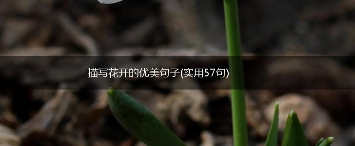 描写花开的优美句子(实用57句),第1张