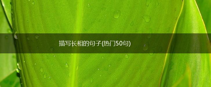 描写长相的句子(热门50句),第1张