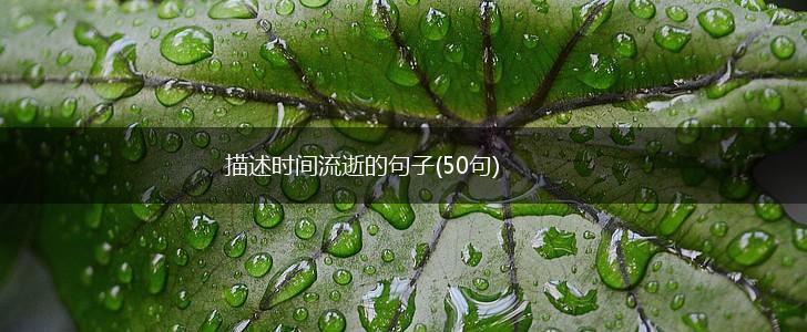 描述时间流逝的句子(50句),第1张