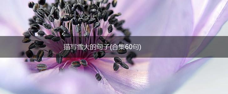 描写雪大的句子(合集60句),第1张
