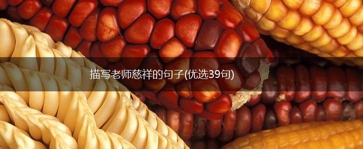描写老师慈祥的句子(优选39句),第1张