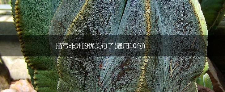 描写非洲的优美句子(通用10句),第1张