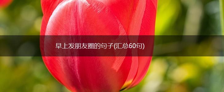 早上发朋友圈的句子(汇总60句),第1张