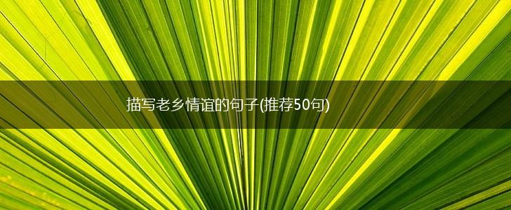 描写老乡情谊的句子(推荐50句),第1张