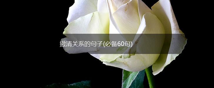 撇清关系的句子(必备60句),第1张