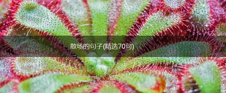 散场的句子(精选70句),第1张