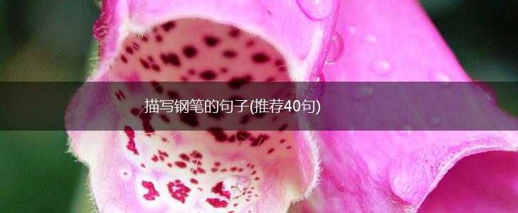 描写钢笔的句子(推荐40句),第1张