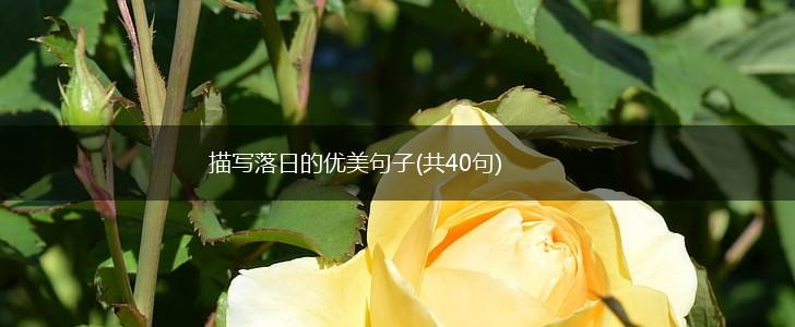 描写落日的优美句子(共40句),第1张