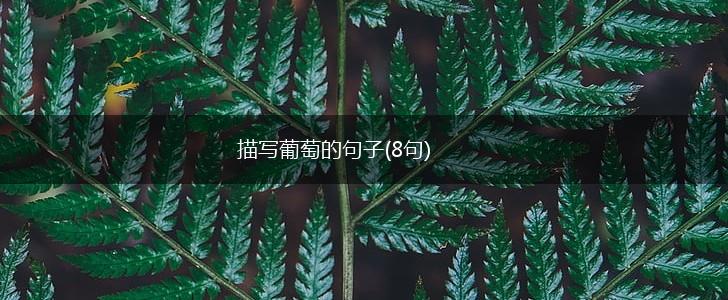 描写葡萄的句子(8句),第1张