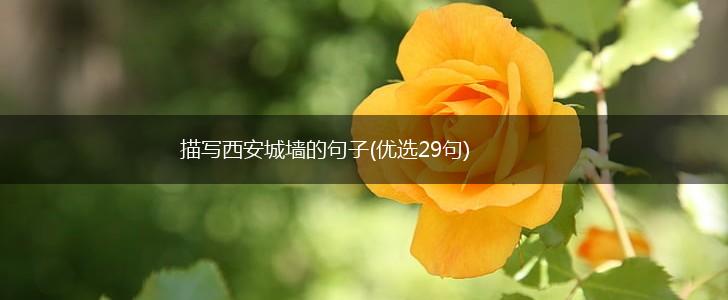 描写西安城墙的句子(优选29句),第1张