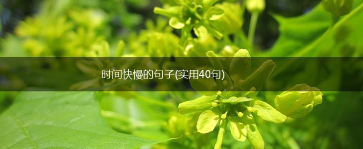 时间快慢的句子(实用40句),第1张