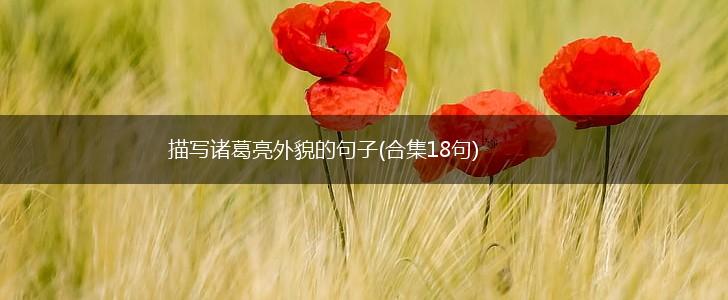 描写诸葛亮外貌的句子(合集18句),第1张