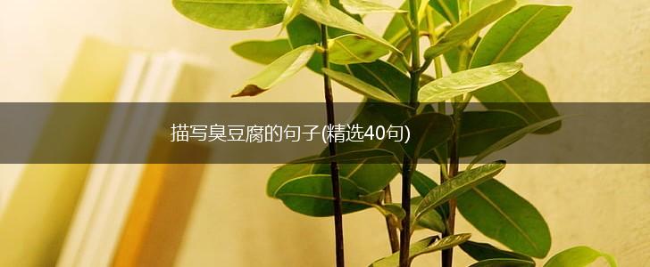 描写臭豆腐的句子(精选40句),第1张
