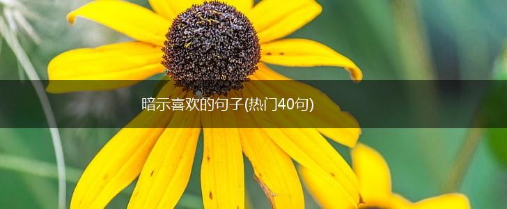 暗示喜欢的句子(热门40句),第1张