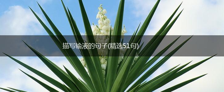 描写输液的句子(精选51句),第1张