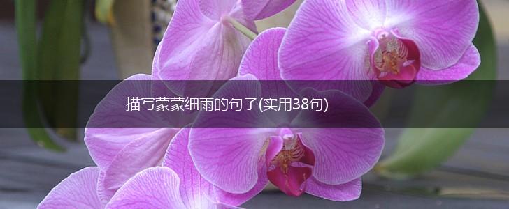 描写蒙蒙细雨的句子(实用38句),第1张
